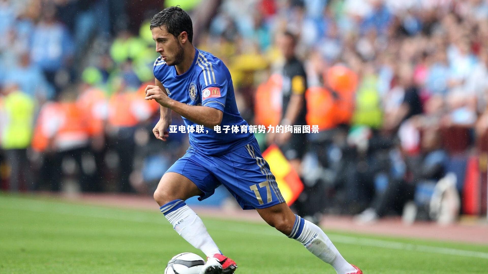 亚电体联，电子体育新势力的绚丽图景